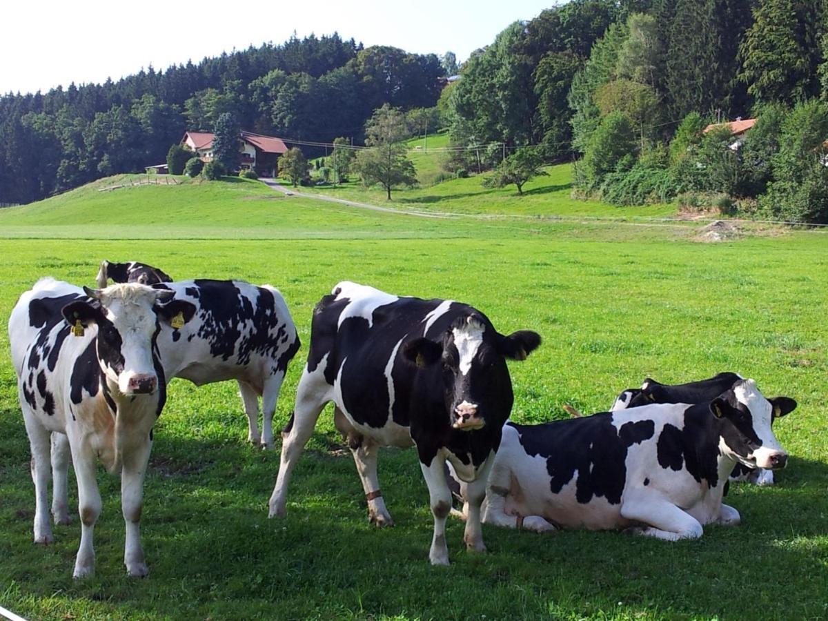 Direkt zwischen Chiemsee u Alpen Dg Bernau am Chiemsee Exterior foto